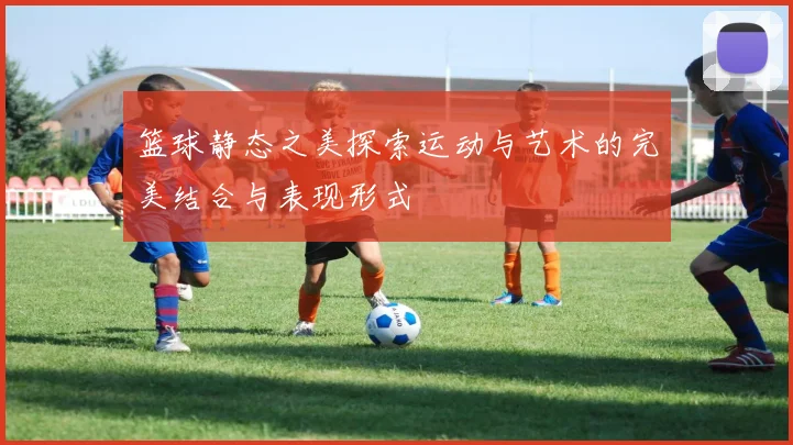 篮球静态之美探索运动与艺术的完美结合与表现形式