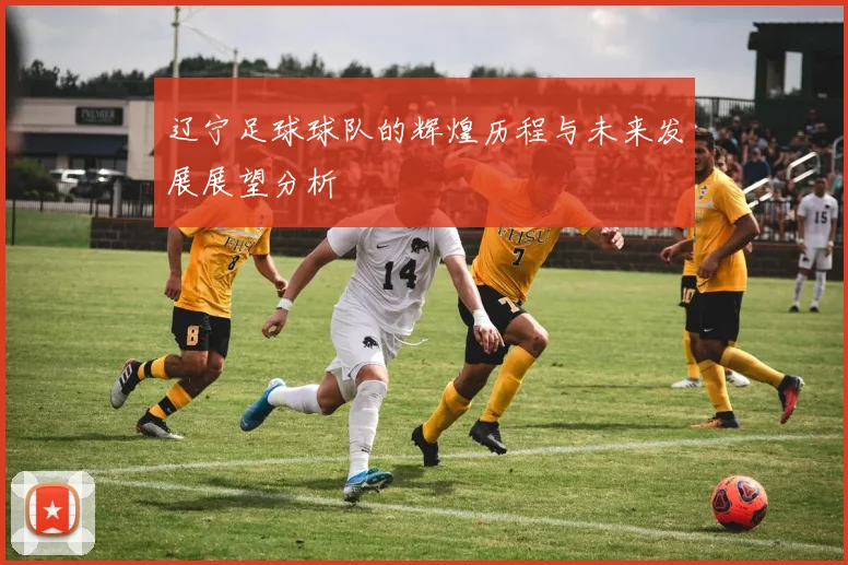 辽宁足球球队的辉煌历程与未来发展展望分析