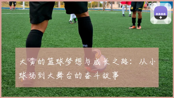 大黄的篮球梦想与成长之路：从小球场到大舞台的奋斗故事
